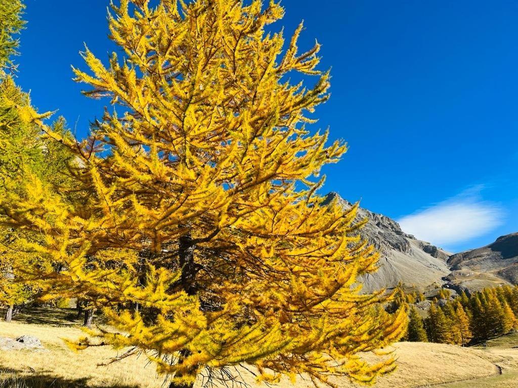 דינייה-לה-בן Les Glycines, Charmant Studio Au Calme Dans Batisse De Maitre Proche Du Centre Ville Parking Gratuit מראה חיצוני תמונה