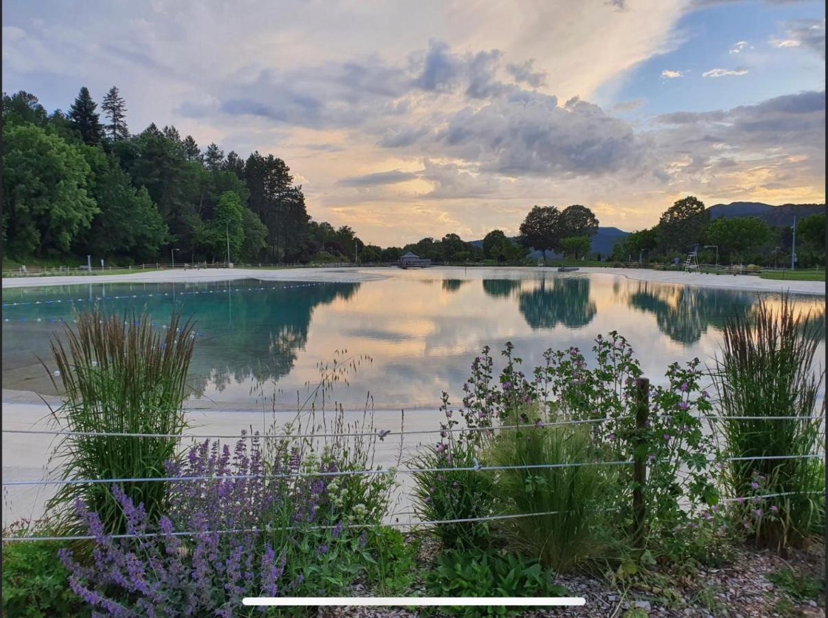 דינייה-לה-בן Les Glycines, Charmant Studio Au Calme Dans Batisse De Maitre Proche Du Centre Ville Parking Gratuit מראה חיצוני תמונה